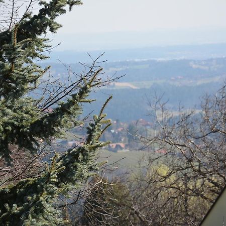 Weingut Seiner Vlg. Kraxner Villa Greisdorf Eksteriør bilde